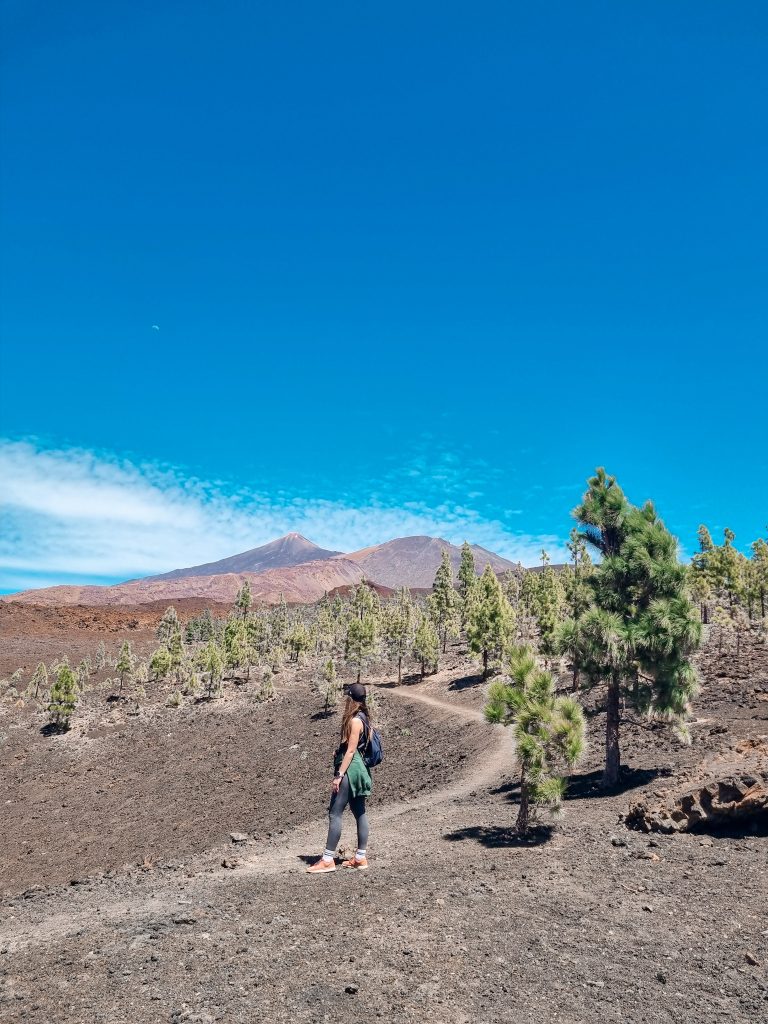 Mirador de Samara El Teide - What to do on El Teide